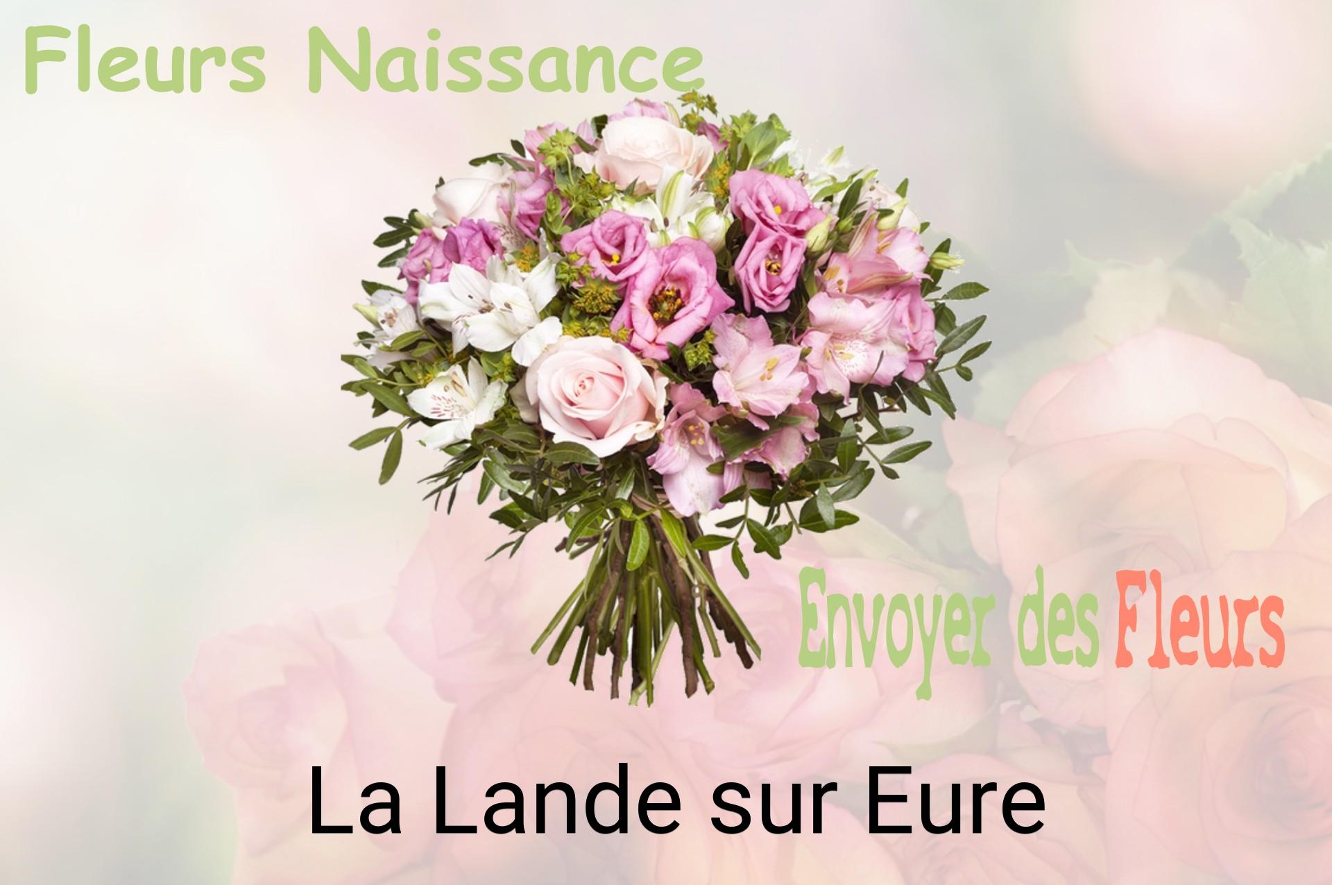 Bouquet de fleurs de naissance livré à La Lande-sur-Eure